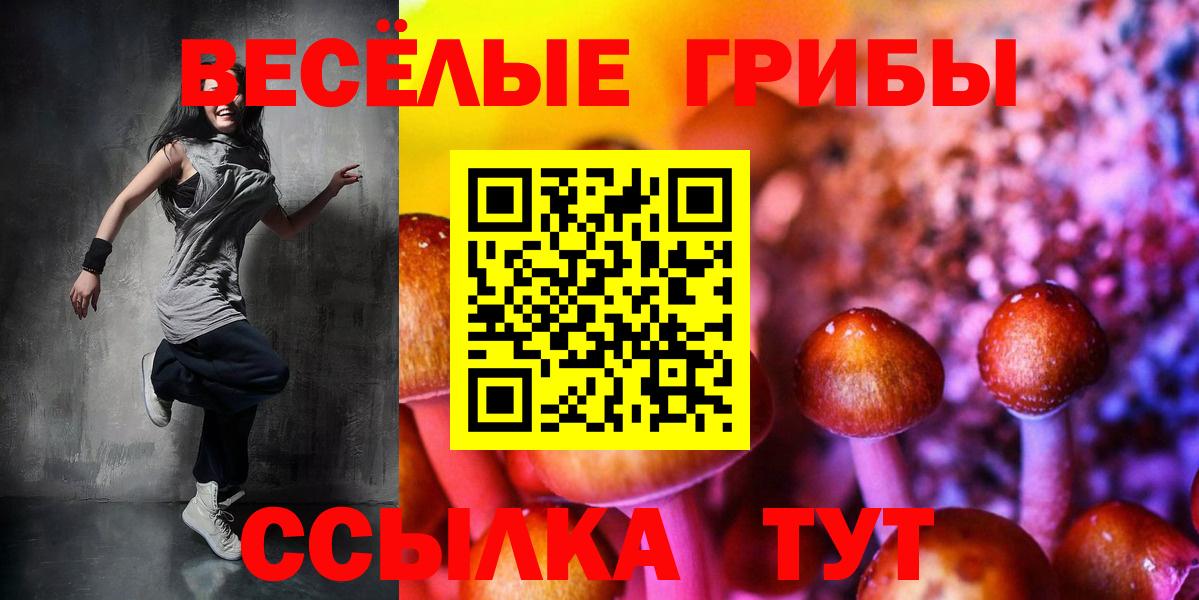 Гашиш  Cocaine  МАРИХУАНА  Меф МЯУ МЯУ   ТГК  Рассказово  Купить закладку  Вход с VPN 
